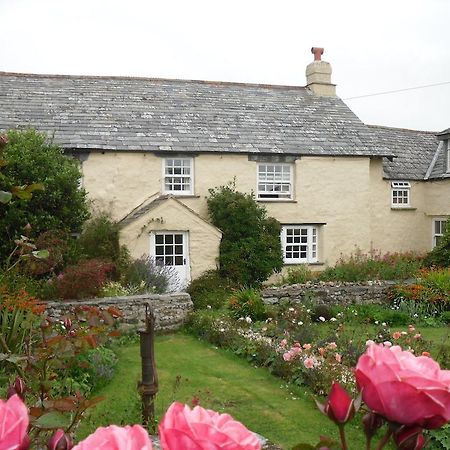 Higher Tresmorn Farm Bed and Breakfast Crackington Haven Εξωτερικό φωτογραφία