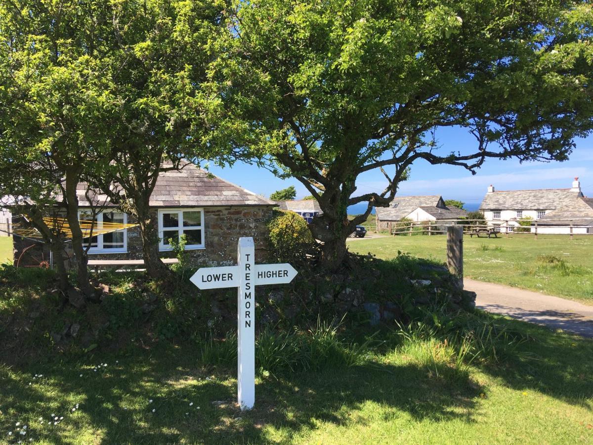 Higher Tresmorn Farm Crackington Haven Εξωτερικό φωτογραφία