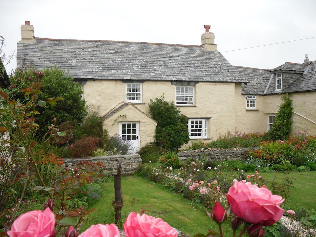 Higher Tresmorn Farm Bed and Breakfast Crackington Haven Εξωτερικό φωτογραφία
