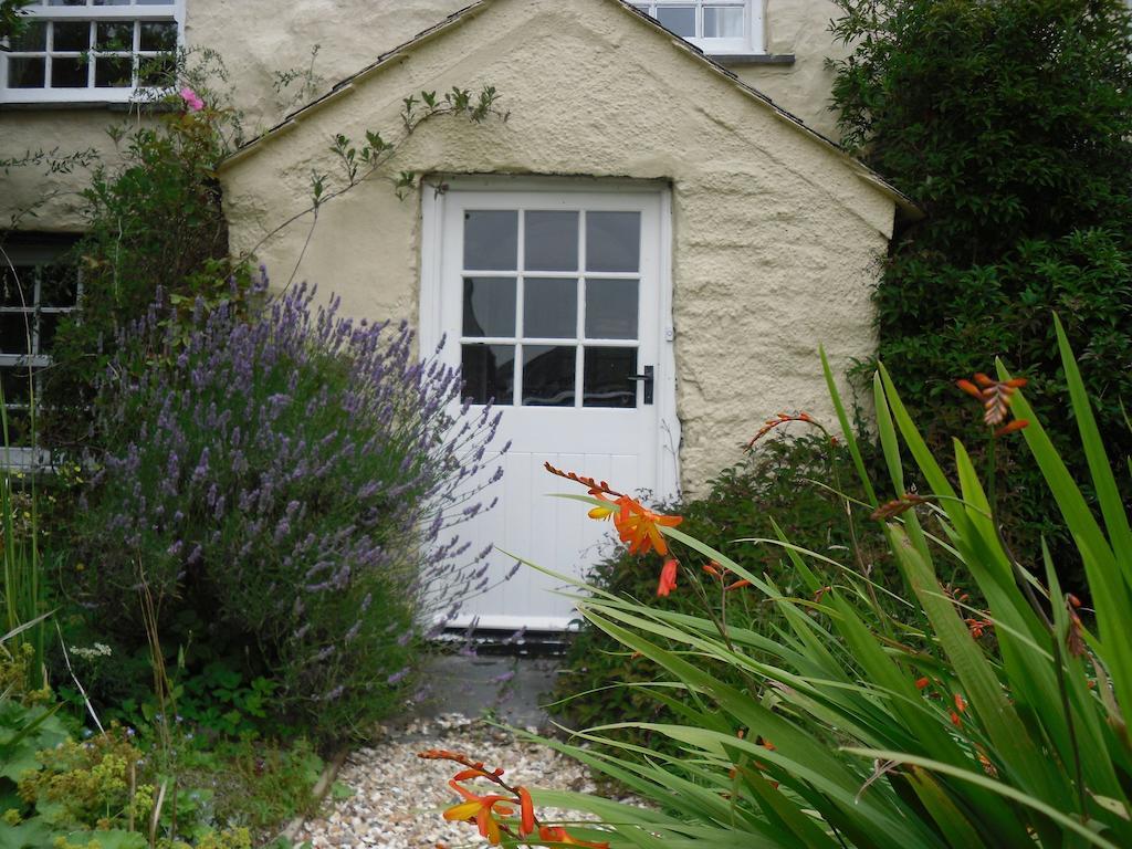 Higher Tresmorn Farm Bed and Breakfast Crackington Haven Εξωτερικό φωτογραφία