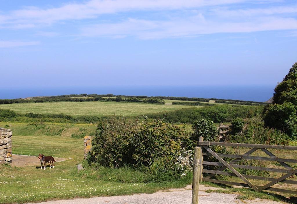 Higher Tresmorn Farm Bed and Breakfast Crackington Haven Εξωτερικό φωτογραφία