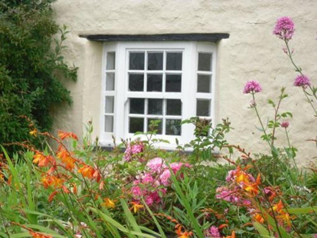 Higher Tresmorn Farm Bed and Breakfast Crackington Haven Εξωτερικό φωτογραφία